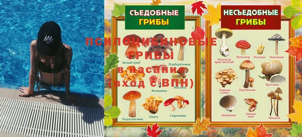 ALPHA PVP Михайловск