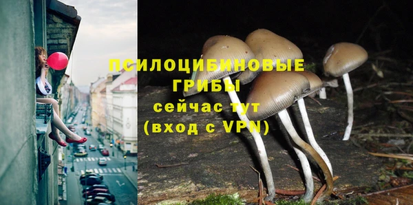 бутират Михайловка
