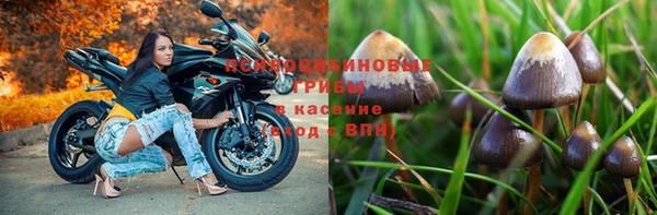 ALPHA PVP Михайловск