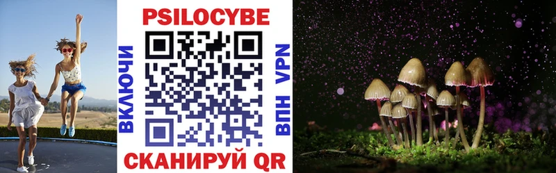 блэк спрут ссылки  Димитровград  Галлюциногенные грибы MAGIC MUSHROOMS 
